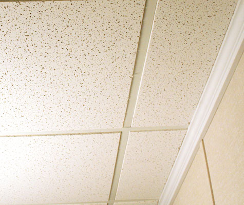 drop ceiling tiles